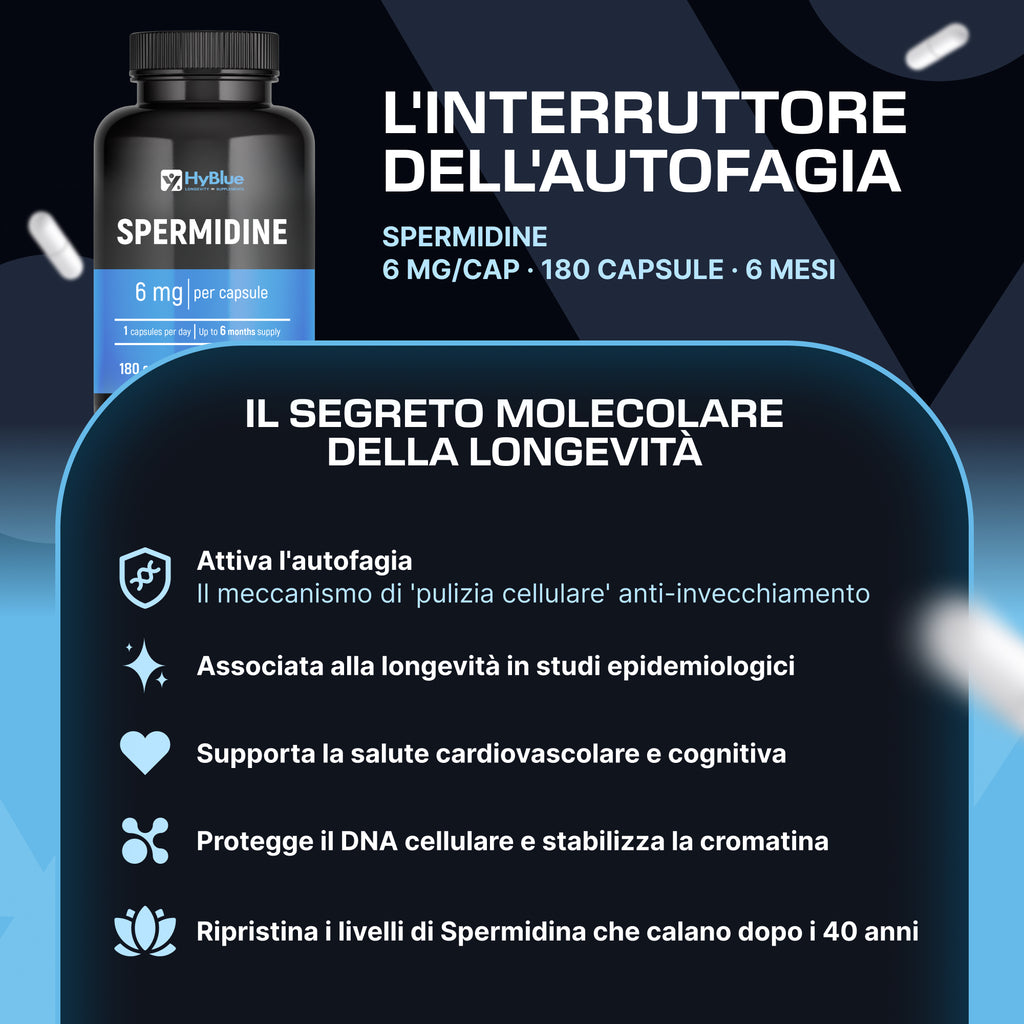 HyBlue Spermidina Pura Alto Dosaggio 180 Cps, 6mg | Integratore Spermidina Alto Dosaggio Per Rinnovo Cellulare e Longevità | Spermidin Integratore No Glutine Ne Lattosio, 100% Vegano | Scorta 6 Mesi