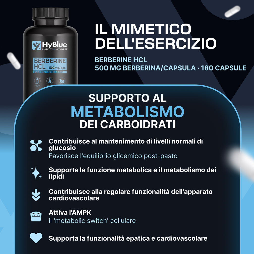 HyBlue Berberina 1000mg Pura Alto Dosaggio 180 Cps, 2 X 500 Mg | Estratto Di Berberis Aristata | Berberina Integratore Per Supporto Metabolismo | Senza Glutine Ne Lattosio, 100% Vegano | Fino 6 Mesi