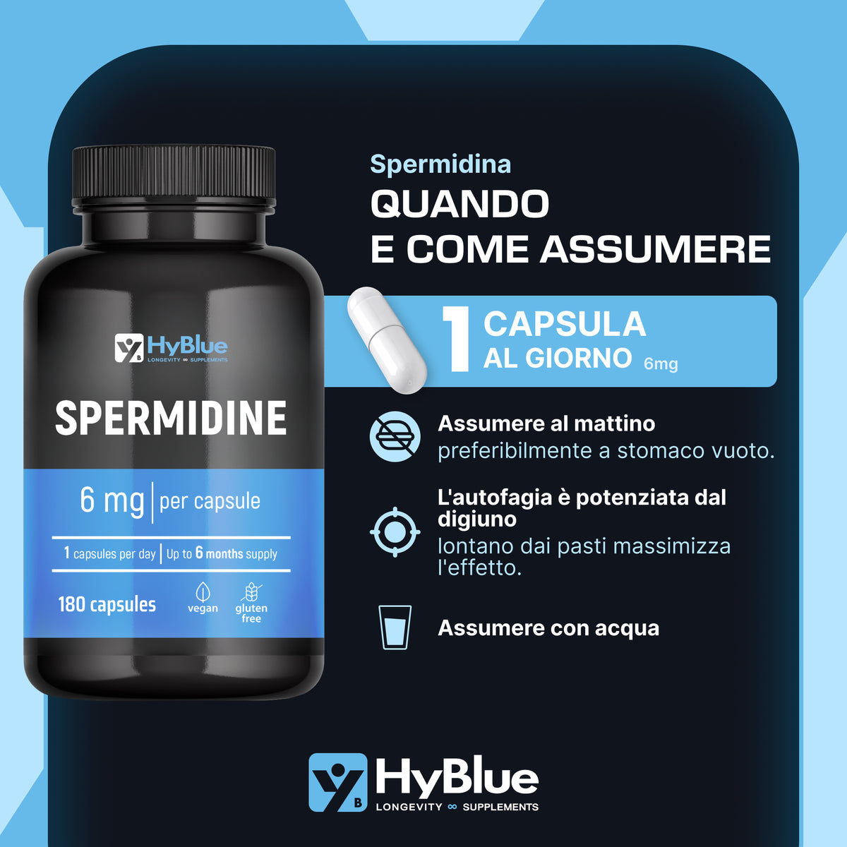 HyBlue Spermidina Pura Alto Dosaggio 180 Cps, 6mg | Integratore Spermidina Alto Dosaggio Per Rinnovo Cellulare e Longevità | Spermidin Integratore No Glutine Ne Lattosio, 100% Vegano | Scorta 6 Mesi