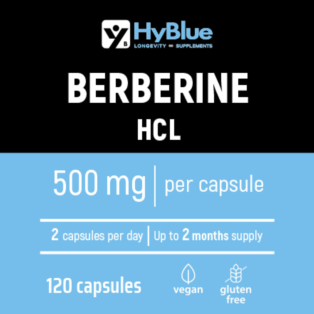 HyBlue Berberina 1000mg Pura Alto Dosaggio 120 Cps, 2x500 Mg | Estratto Di Berberis Aristata | Berberina Integratore Per Supporto Metabolismo | Senza Glutine Ne Lattosio, 100% Vegano | Fino 2 Mesi