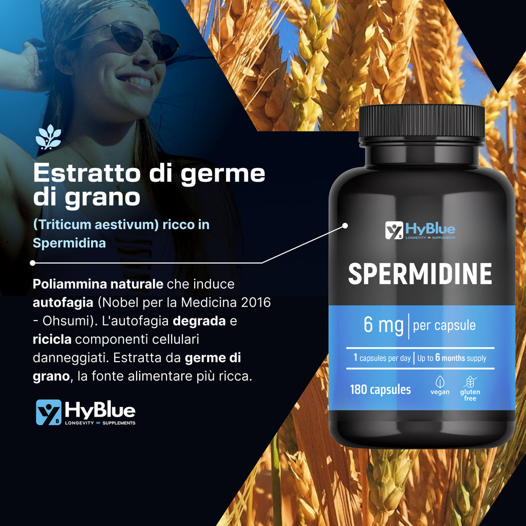 HyBlue Spermidina Pura Alto Dosaggio 180 Cps, 6mg | Integratore Spermidina Alto Dosaggio Per Rinnovo Cellulare e Longevità | Spermidin Integratore No Glutine Ne Lattosio, 100% Vegano | Scorta 6 Mesi