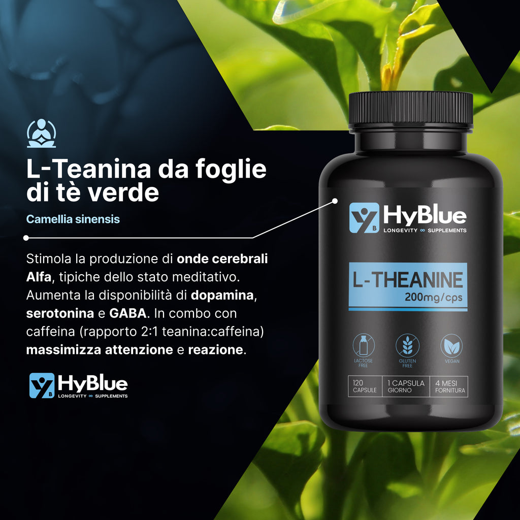 HyBlue L Teanina Integratore 120 cps, 200mg | L Theanine per Stress e Performance Cognitive | Stimola Onde Alfa per Focus Mentale e Lucidità | Senza Glutine Ne Lattosio, 100% Vegano | Fino 4 Mesi