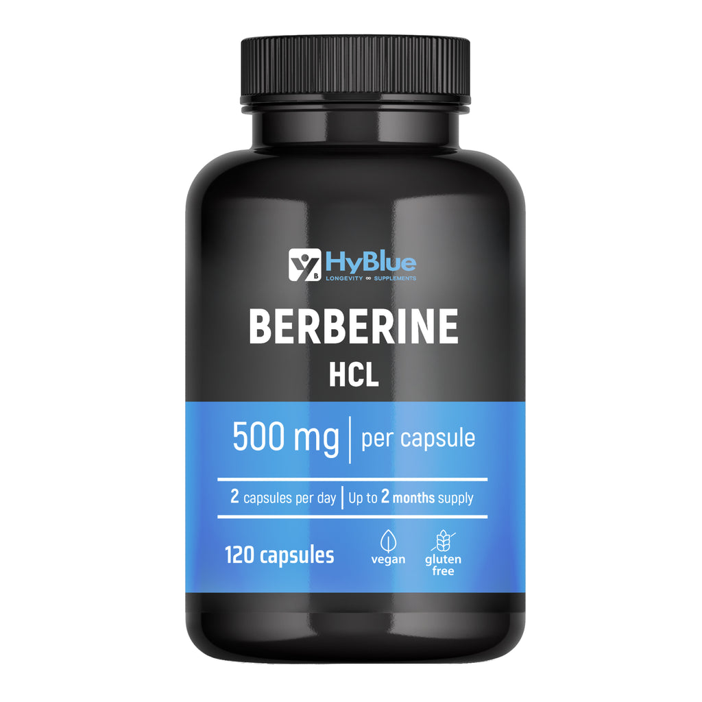 HyBlue Berberina 1000mg Pura Alto Dosaggio 120 Cps, 2x500 Mg | Estratto Di Berberis Aristata | Berberina Integratore Per Supporto Metabolismo | Senza Glutine Ne Lattosio, 100% Vegano | Fino 2 Mesi